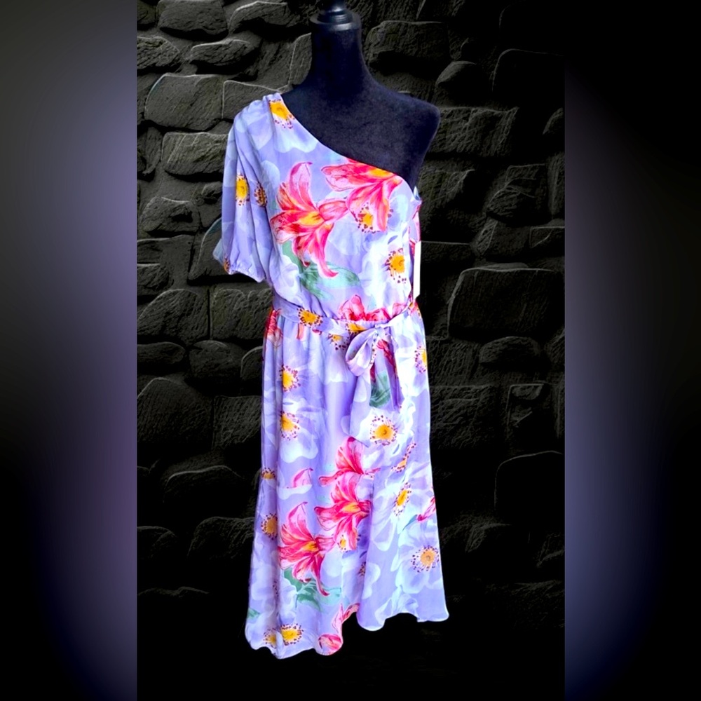 Xs purple and pink dress